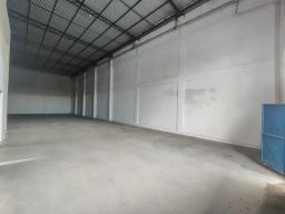https://img.olx.com.br/thumbs256x256/38/383614655077557.jpg