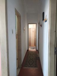 https://img.olx.com.br/thumbs256x256/38/384545641901794.jpg
