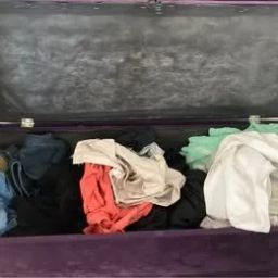 https://img.olx.com.br/thumbs256x256/38/384548886051159.jpg