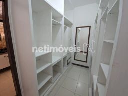 https://img.olx.com.br/thumbs256x256/38/384555766667248.jpg