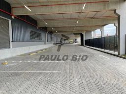 https://img.olx.com.br/thumbs256x256/38/384579887345585.jpg