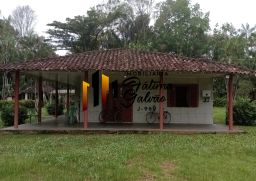 https://img.olx.com.br/thumbs256x256/38/384582887546393.jpg