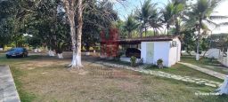 https://img.olx.com.br/thumbs256x256/38/384658796298824.jpg