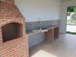 https://img.olx.com.br/thumbs256x256/38/385516768986453.jpg