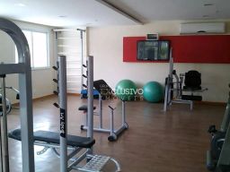 https://img.olx.com.br/thumbs256x256/38/385535638072105.jpg