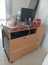 https://img.olx.com.br/thumbs256x256/38/385575254576057.jpg
