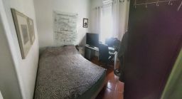 https://img.olx.com.br/thumbs256x256/38/386582882134600.jpg