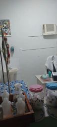 https://img.olx.com.br/thumbs256x256/38/387501769293881.jpg