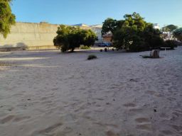 https://img.olx.com.br/thumbs256x256/38/387541723871904.jpg