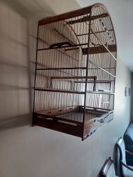 https://img.olx.com.br/thumbs256x256/38/387543647831259.jpg