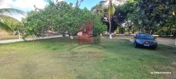 https://img.olx.com.br/thumbs256x256/38/387679674076635.jpg