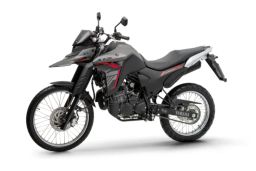 https://img.olx.com.br/thumbs256x256/38/389506489761052.jpg