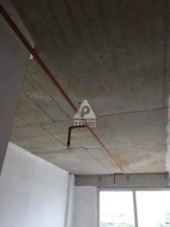 https://img.olx.com.br/thumbs256x256/38/389517769286973.jpg