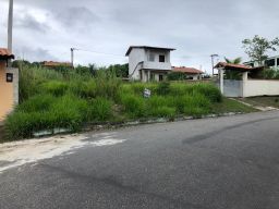 https://img.olx.com.br/thumbs256x256/38/389531045865610.jpg