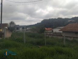 https://img.olx.com.br/thumbs256x256/38/389571764504154.jpg