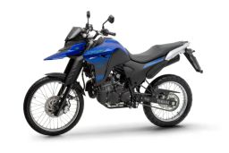 https://img.olx.com.br/thumbs256x256/38/389581849215585.jpg