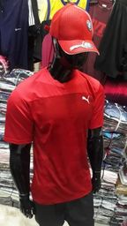 camiseta dry fit puma