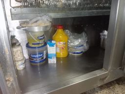 https://img.olx.com.br/thumbs256x256/39/390555360740021.jpg