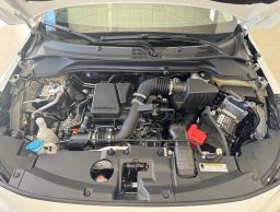 https://img.olx.com.br/thumbs256x256/39/390563396582336.jpg