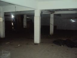 https://img.olx.com.br/thumbs256x256/39/391528268628961.jpg