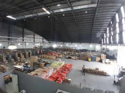 https://img.olx.com.br/thumbs256x256/39/391528875950571.jpg