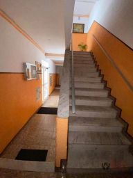 https://img.olx.com.br/thumbs256x256/39/391589527132951.jpg