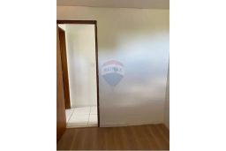 https://img.olx.com.br/thumbs256x256/39/392503168211115.jpg