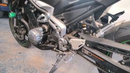 https://img.olx.com.br/thumbs256x256/39/392515281824256.jpg