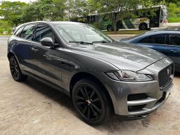 https://img.olx.com.br/thumbs256x256/39/392524126062642.jpg