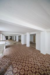 https://img.olx.com.br/thumbs256x256/39/392531591051840.jpg