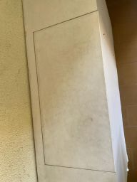 https://img.olx.com.br/thumbs256x256/39/392534726432285.jpg