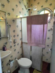 https://img.olx.com.br/thumbs256x256/39/392583164053528.jpg