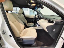 https://img.olx.com.br/thumbs256x256/39/392587400818472.jpg