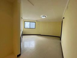 https://img.olx.com.br/thumbs256x256/39/392591527204014.jpg