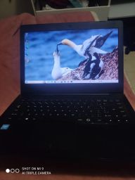 https://img.olx.com.br/thumbs256x256/39/393501030569730.jpg