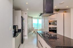 https://img.olx.com.br/thumbs256x256/39/393512403053494.jpg