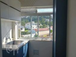 https://img.olx.com.br/thumbs256x256/39/393560528486545.jpg