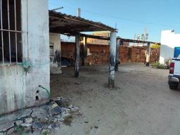https://img.olx.com.br/thumbs256x256/39/394519244856974.jpg