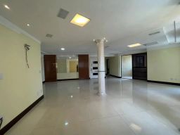 https://img.olx.com.br/thumbs256x256/39/394533529836218.jpg