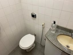 https://img.olx.com.br/thumbs256x256/39/394696679002139.jpg