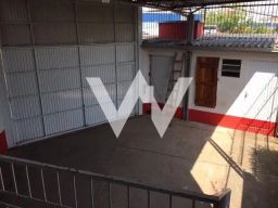 https://img.olx.com.br/thumbs256x256/39/395527643758377.jpg