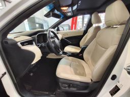 https://img.olx.com.br/thumbs256x256/39/395541403866517.jpg
