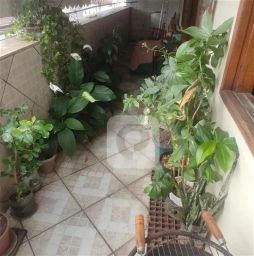 https://img.olx.com.br/thumbs256x256/39/395543043387294.jpg
