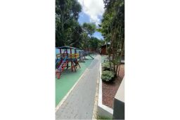 https://img.olx.com.br/thumbs256x256/39/396516286764182.jpg