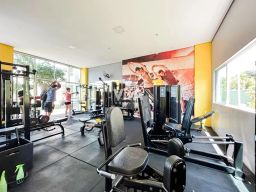 https://img.olx.com.br/thumbs256x256/39/396525287637339.jpg