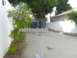 https://img.olx.com.br/thumbs256x256/39/396533888061569.jpg