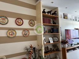 https://img.olx.com.br/thumbs256x256/39/396564887384848.jpg