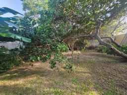 https://img.olx.com.br/thumbs256x256/39/396598641079011.jpg