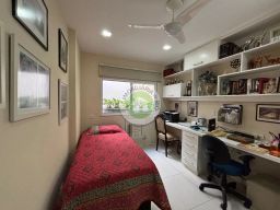 https://img.olx.com.br/thumbs256x256/39/397519169887762.jpg