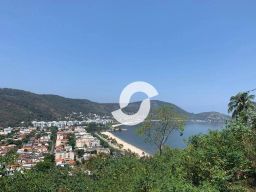 https://img.olx.com.br/thumbs256x256/39/397525288766354.jpg